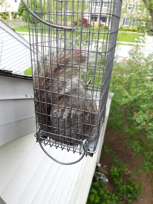 The Wildlife Doctor Picture 2