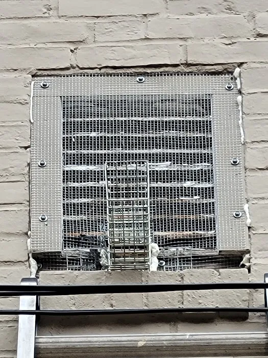 The Wildlife Doctor Picture 6