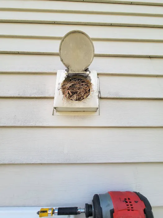 The Wildlife Doctor Picture 5