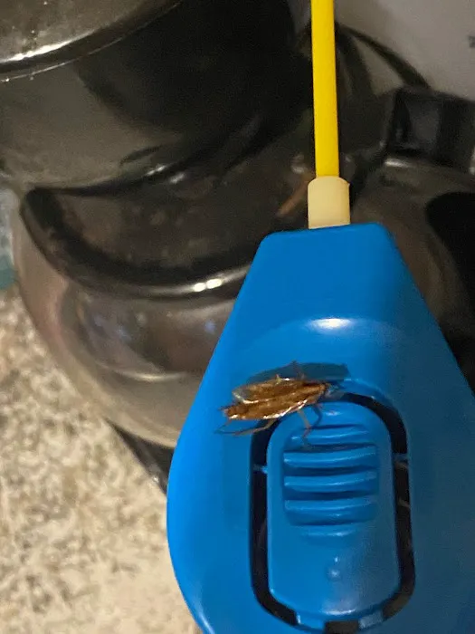 Main Street Pest Control Picture 3