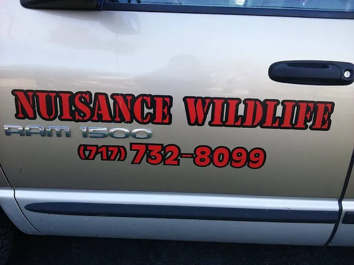 Nuisance Wildlife Picture 6