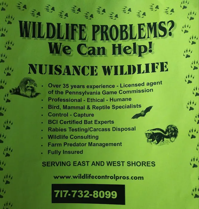 Nuisance Wildlife Picture 1