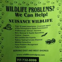 Nuisance Wildlife ico