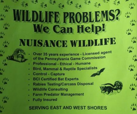 Nuisance Wildlife