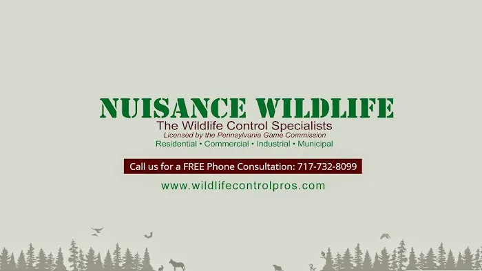 Nuisance Wildlife Picture 8
