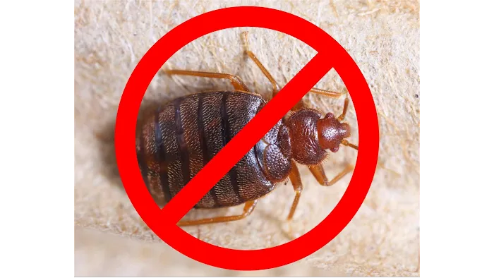 H.T. Treadway Pest Control Picture 3