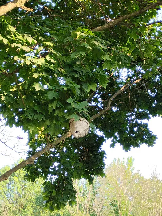 ANDROS Pest Control, LLC Picture 6