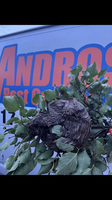 ANDROS Pest Control, LLC Picture 3
