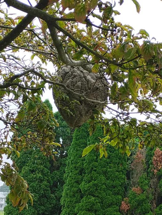 ANDROS Pest Control, LLC Picture 9