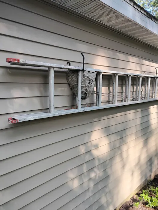 ANDROS Pest Control, LLC Picture 2