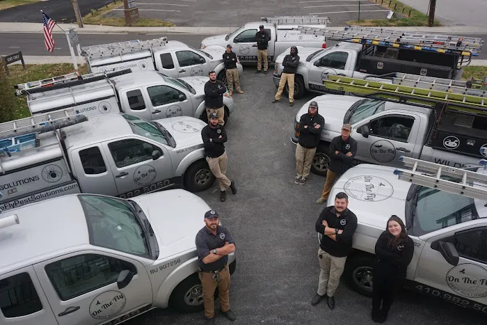 On The Fly Pest Solutions Picture 6