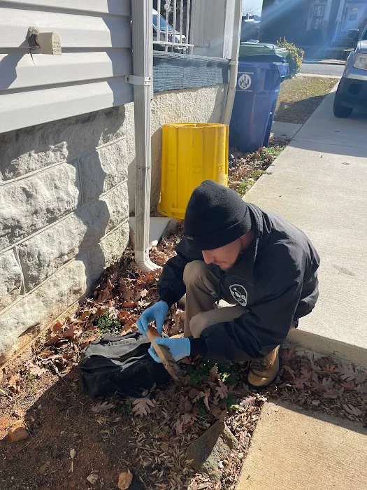 On The Fly Pest Solutions Picture 7
