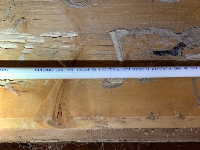 Optimum Pest Control Picture 4