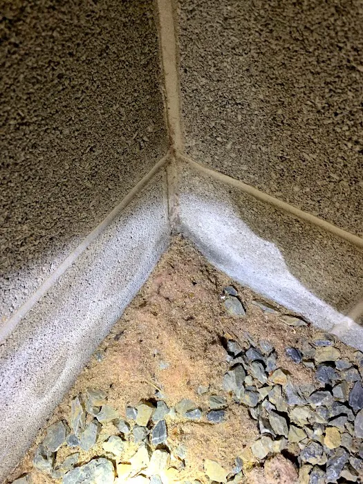 Optimum Pest Control Picture 3