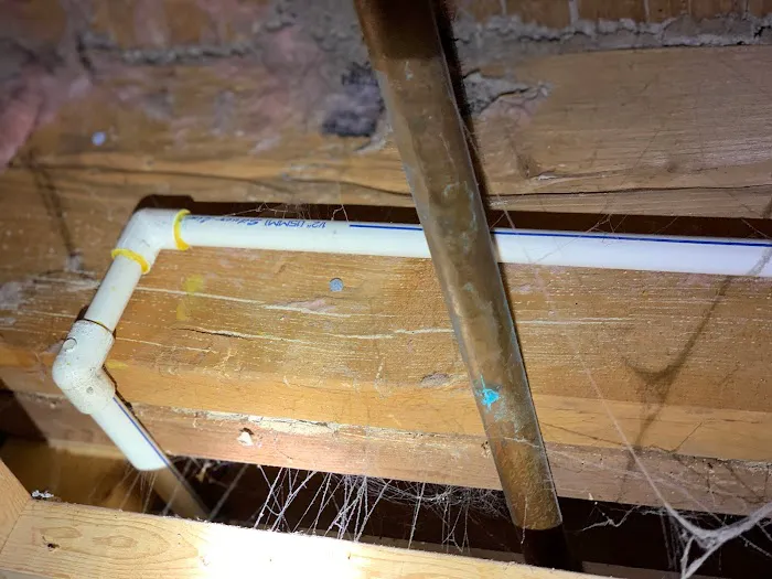 Optimum Pest Control Picture 1