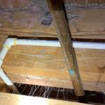 Optimum Pest Control