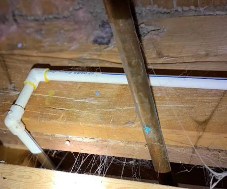 Optimum Pest Control
