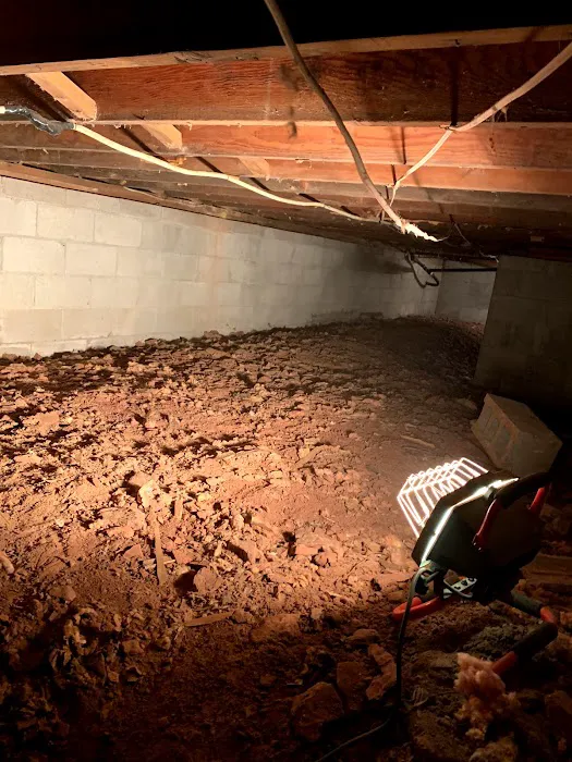 Optimum Pest Control Picture 10