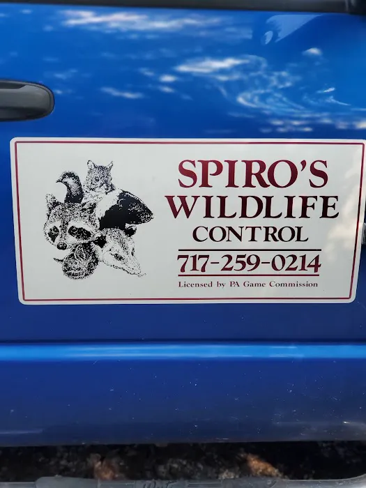 Spiro's Wildlife Control Picture 1