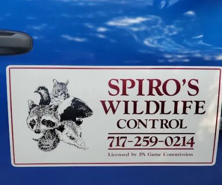 Spiro's Wildlife Control