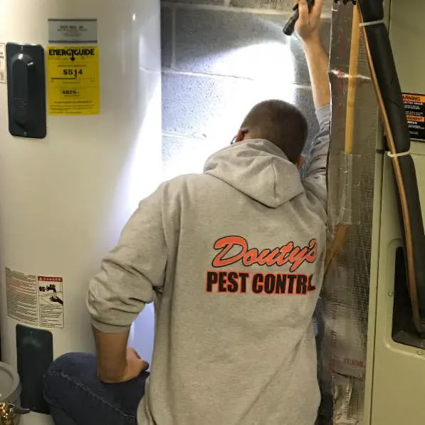 Douty's Pest Control LLC Picture 1