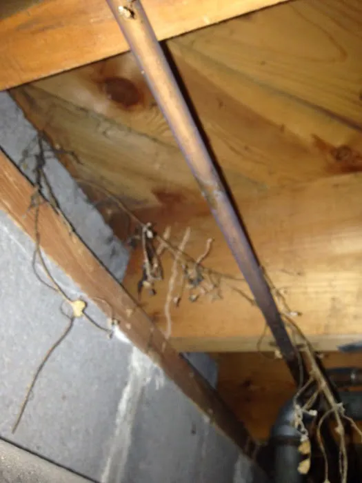 Jabco Pest Control Services Picture 8