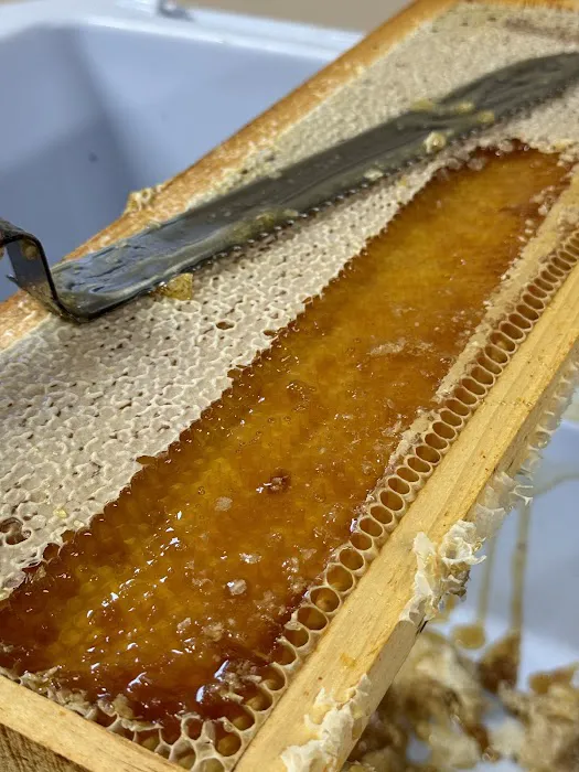 The Bucher Honey Company Picture 7
