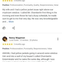 Chamberlin's Pest Control LLC ico