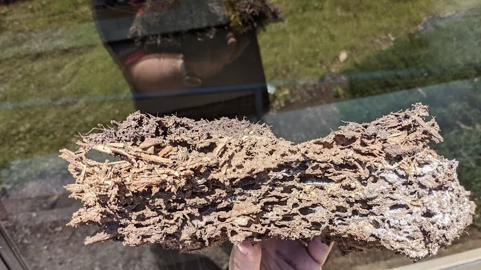 Chamberlin's Pest Control LLC Picture 3