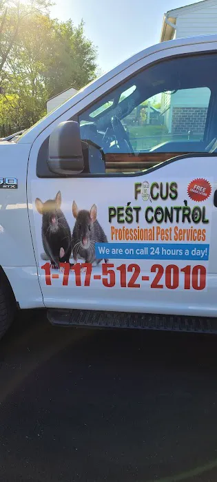 Focus Pest Control of Pa Picture 2