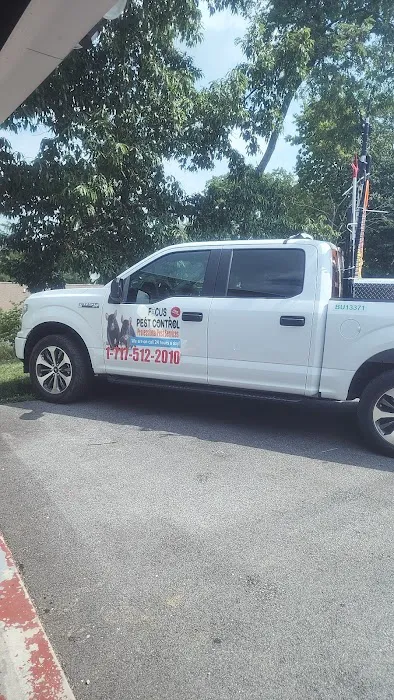 Focus Pest Control of Pa Picture 3