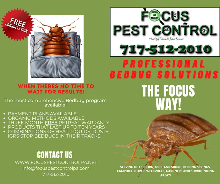 Focus Pest Control of Pa Picture 9