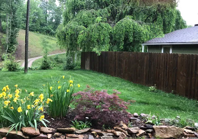 Clean Air Lawn Care Lewes Picture 3
