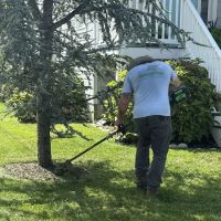 Clean Air Lawn Care Lewes ico