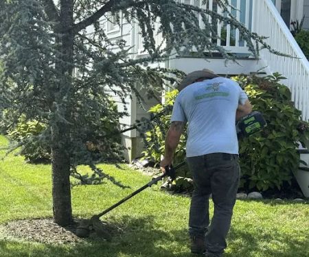 Clean Air Lawn Care Lewes