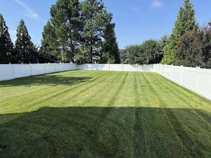 Clean Air Lawn Care Lewes Picture 10