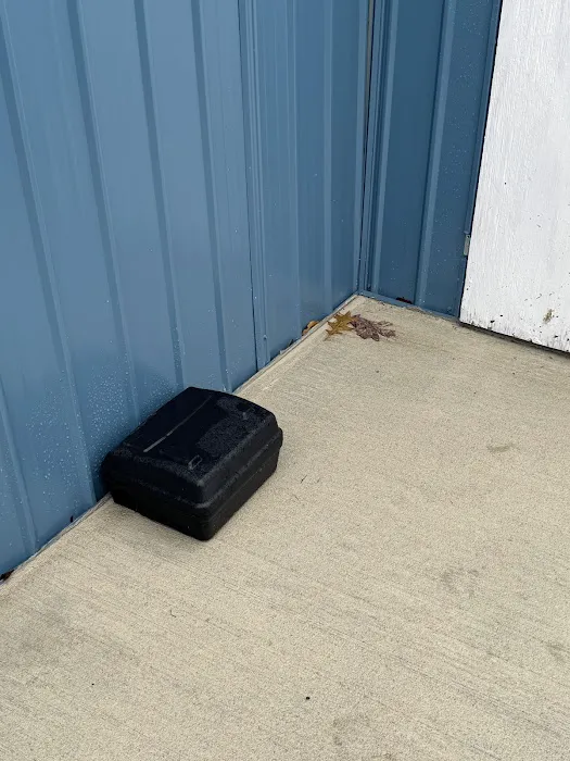 Bennett Termite & Pest Solutions Picture 6