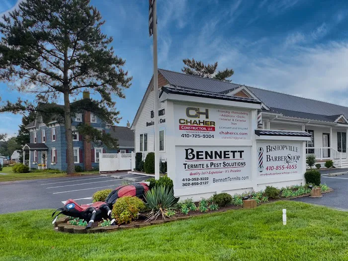 Bennett Termite & Pest Solutions Picture 8