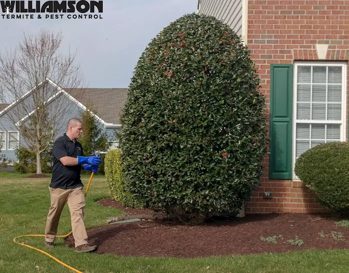 Williamson Termite & Pest Control Picture 8