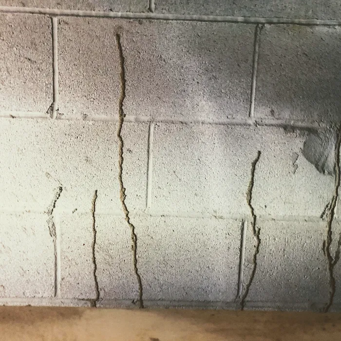 Williamson Termite & Pest Control Picture 10