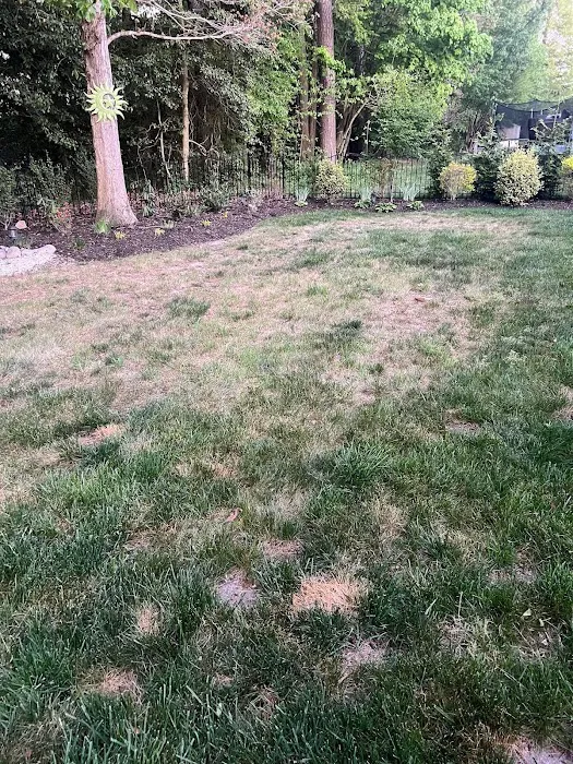 Lawn Doctor of The Lower Eastern Shore Picture 7