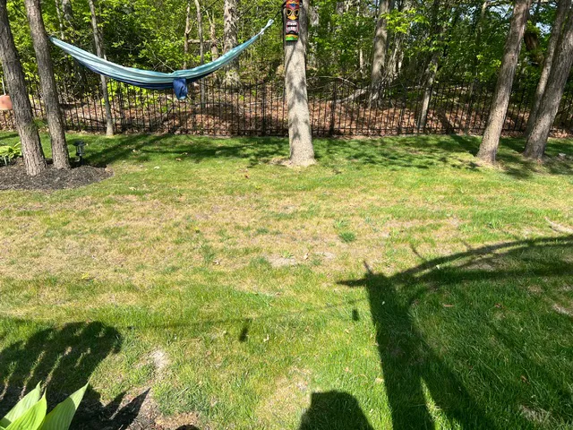 Lawn Doctor of The Lower Eastern Shore Picture 5
