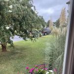 Lawn Doctor of The Lower Eastern Shore