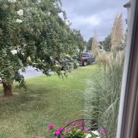 Lawn Doctor of The Lower Eastern Shore ico