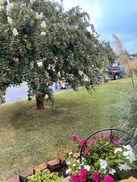 Lawn Doctor of The Lower Eastern Shore Picture 4