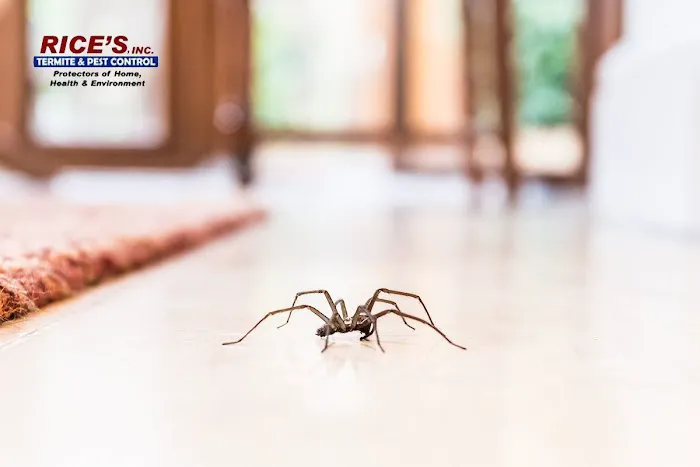 Rice's Termite and Pest Control Services Picture 2
