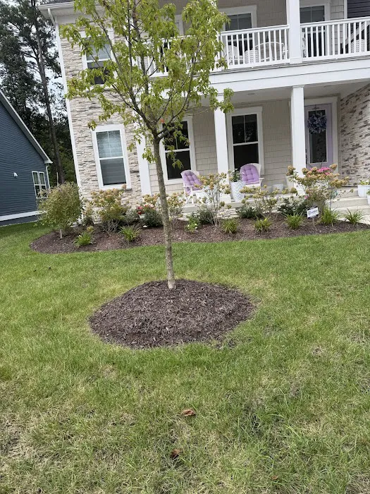 Frontline Pest and Termite of Salisbury Picture 10