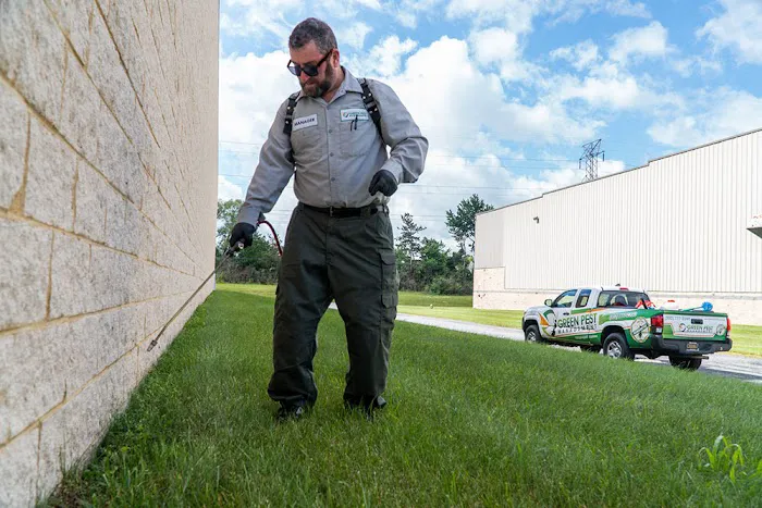 Green Pest Management Picture 9