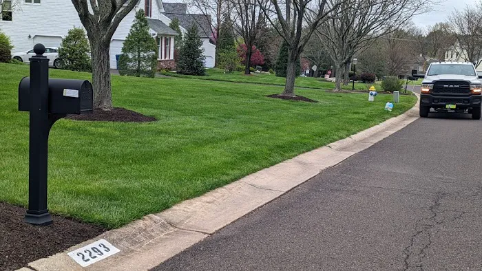 Ned's Lawn and Pest Control Picture 1