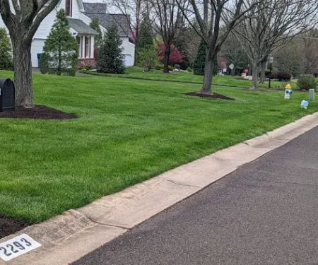 Ned's Lawn and Pest Control